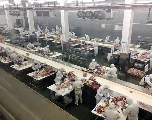 重慶農商行 強化銀電合作，以電力大數據賦能企業復工復產——市場調研分析